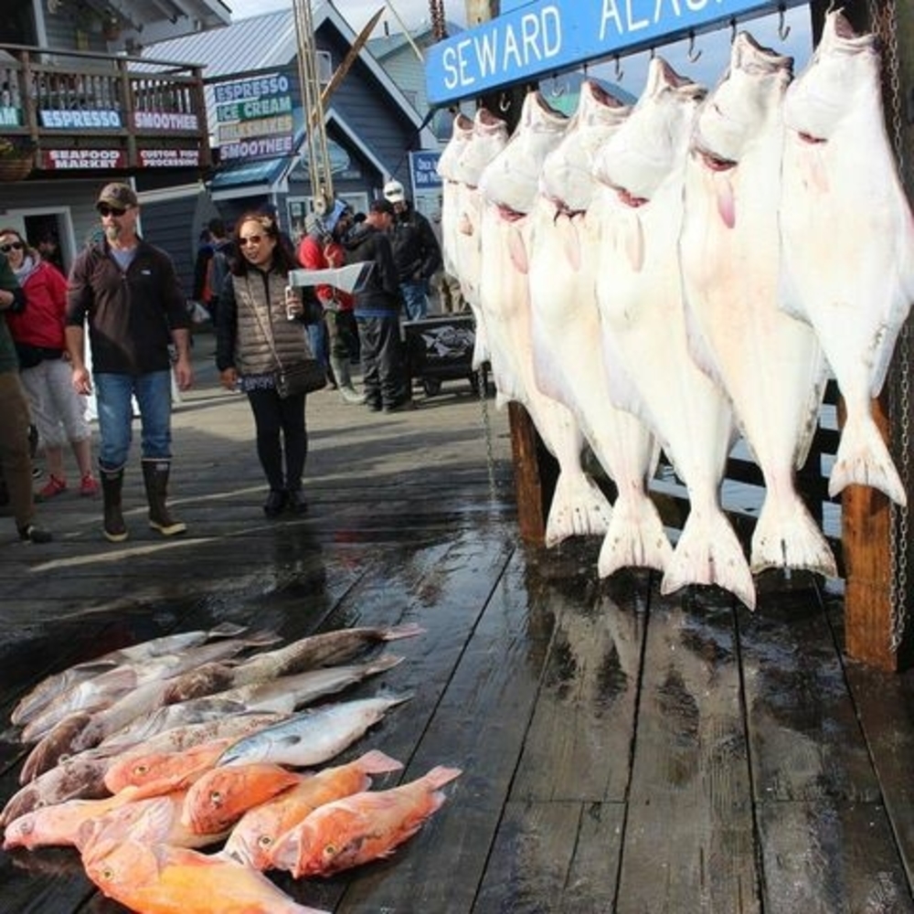 Meet your Posher, Sun